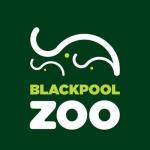 Blackpool Zoo Gutschein